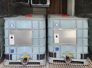 촉진시험